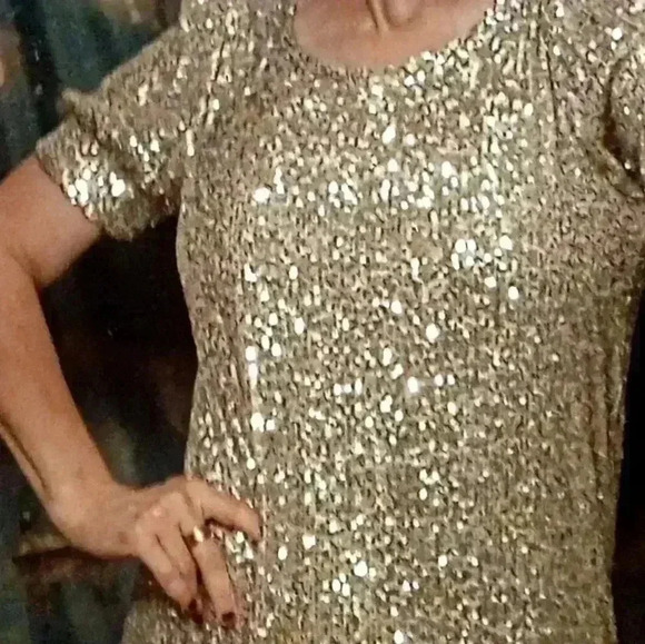 NWT Cable and Gauge Sequin Puff Sleeve Swing / Shift Dress Size Small 🥰 - Picture 2 of 7